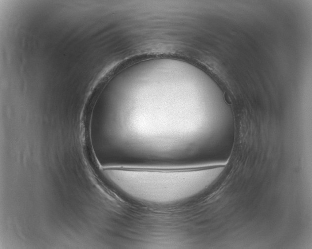 X0000066980584200603241047