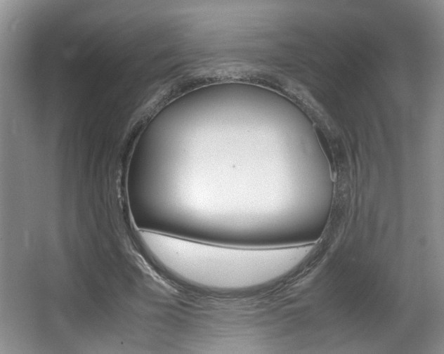 X0000066980585200603241047