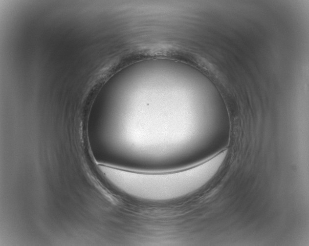 X0000066980589200603241047