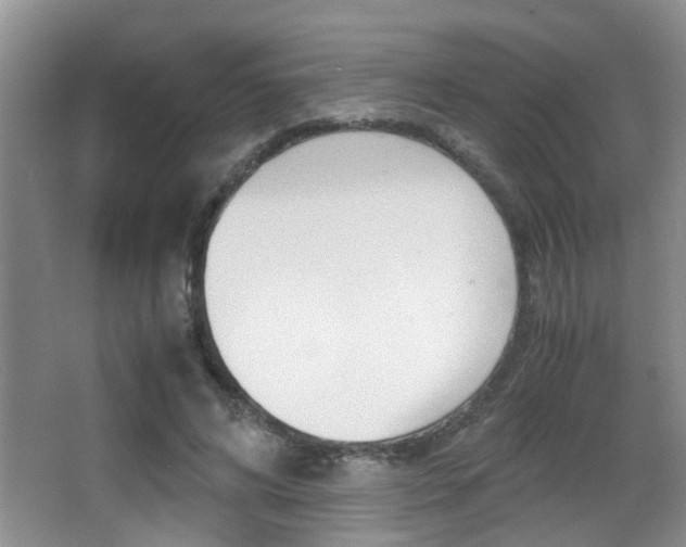 X0000066980592200603241047