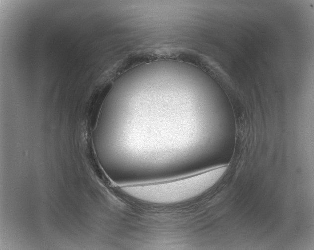 X0000066980593200603241047
