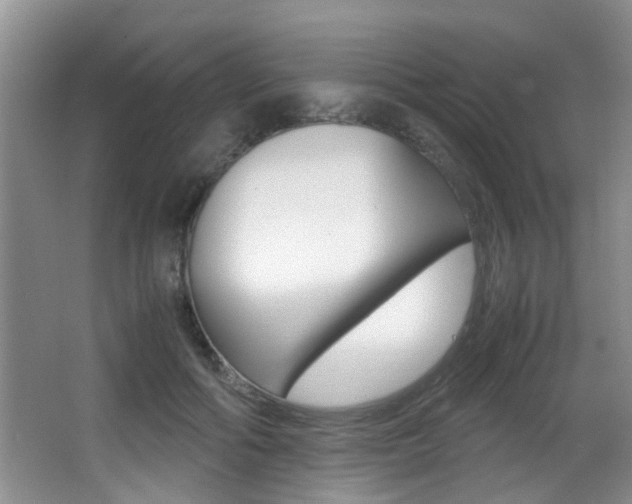X0000066980602200603241047