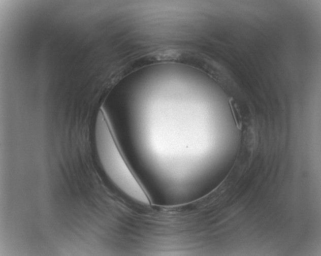 X0000066980604200603241047