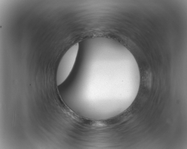 X0000066980610200603241047