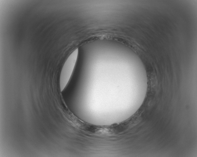 X0000066980611200603241047