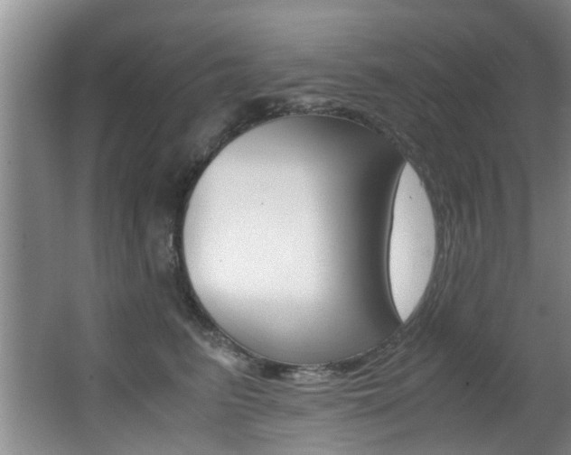 X0000066980615200603241047