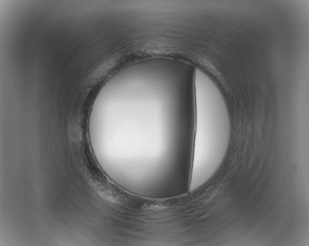 X0000066980635200603241046