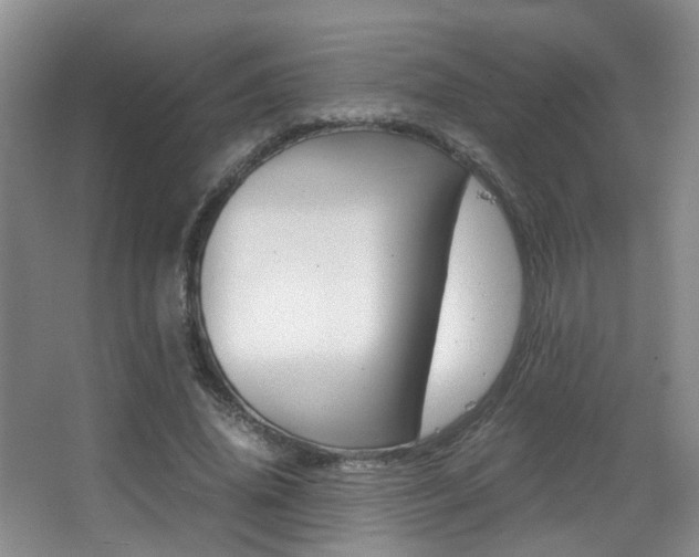 X0000066980636200603241046