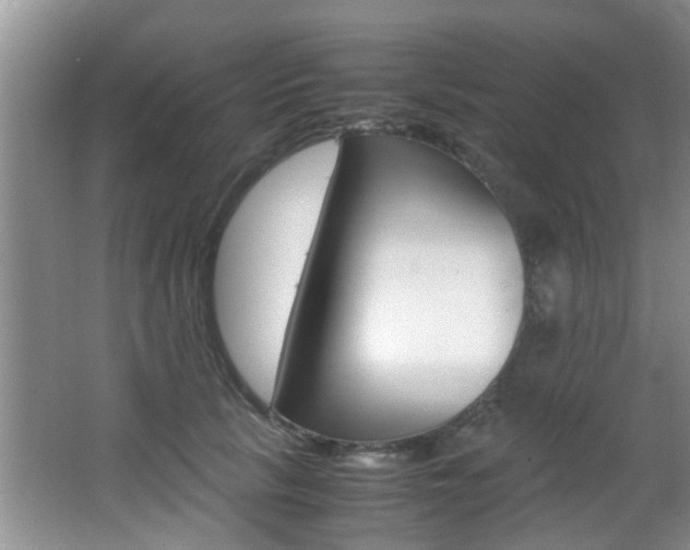 X0000066980657200603241046