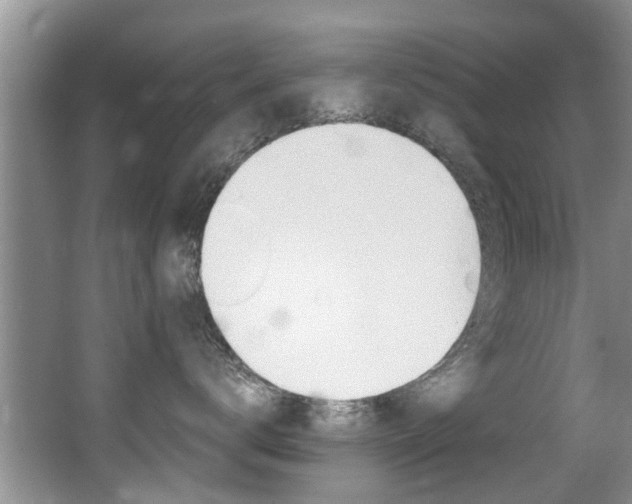 X0000066980672200603241047