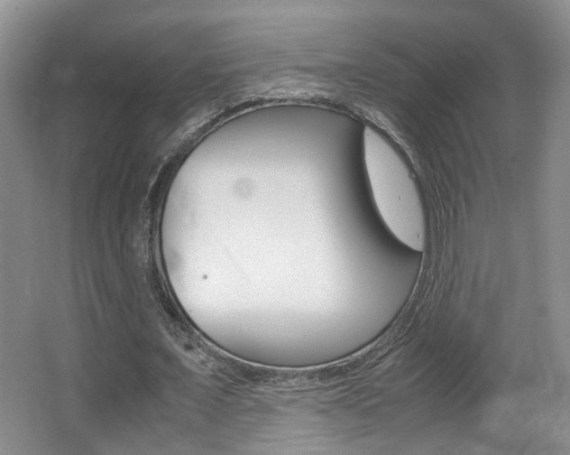 X0000066980675200603241046