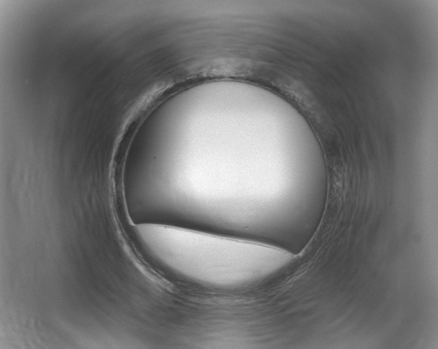 X0000066980678200603241046