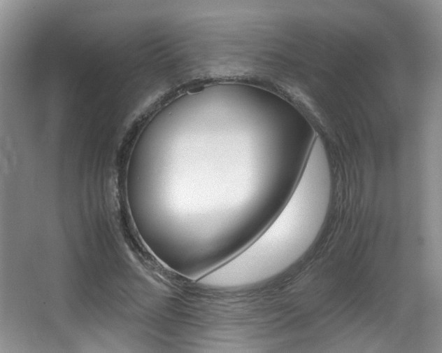 X0000066980684200603241046