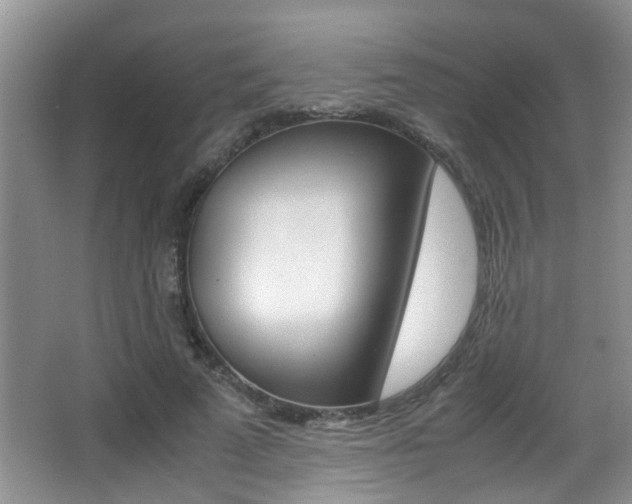 X0000066980689200603241046