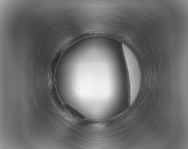 X0000066980692200603241046