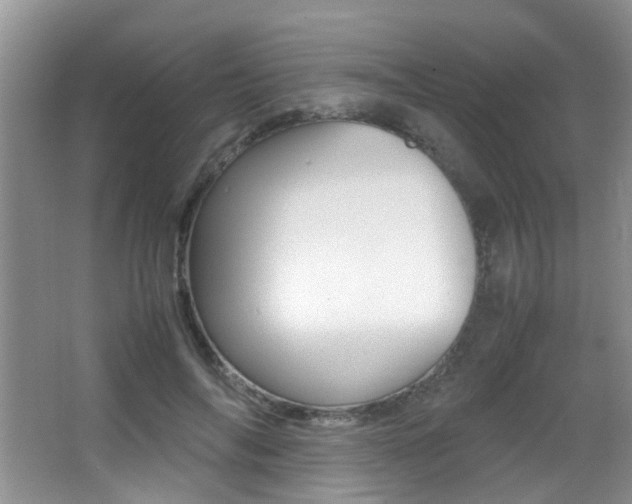 X0000066980694200603241046