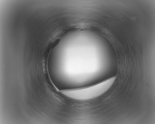 X0000066980696200603241045