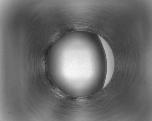 X0000066980716200603241045