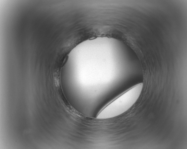 X0000066980719200603241045