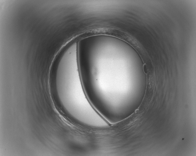 X0000066980722200603241044