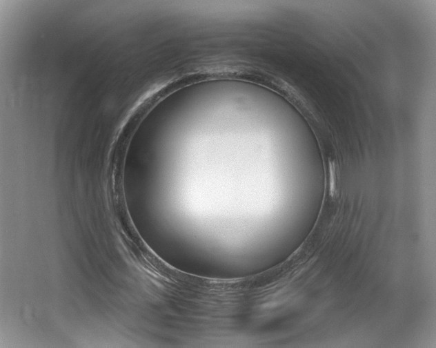 X0000066980723200603241044