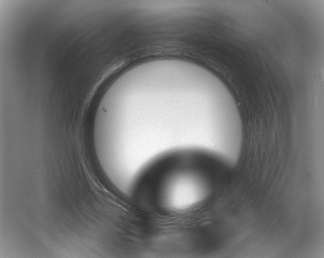 X0000066980731200603241044