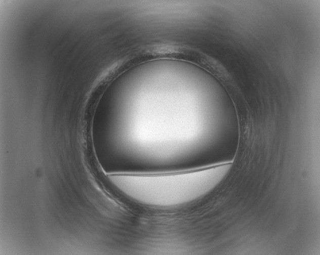 X0000066980732200603241044