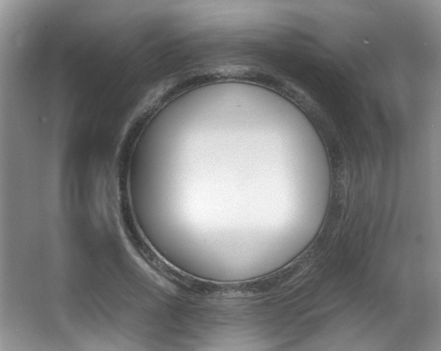 X0000066980734200603241044