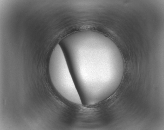 X0000066980737200603241045
