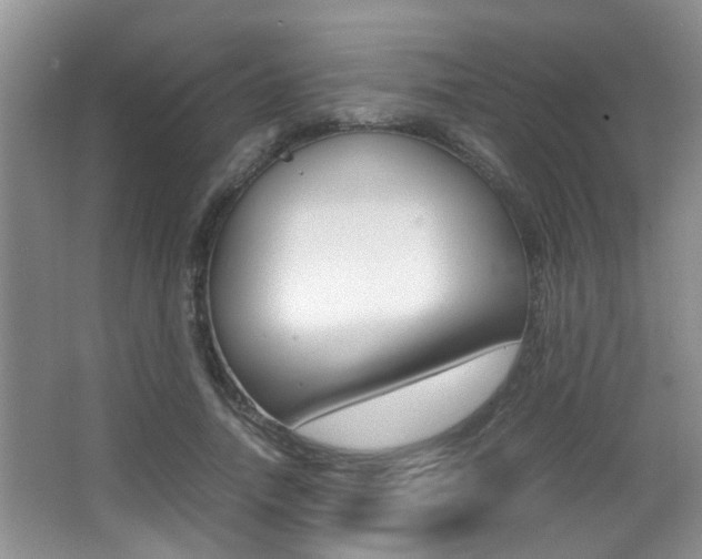 X0000066980738200603241045