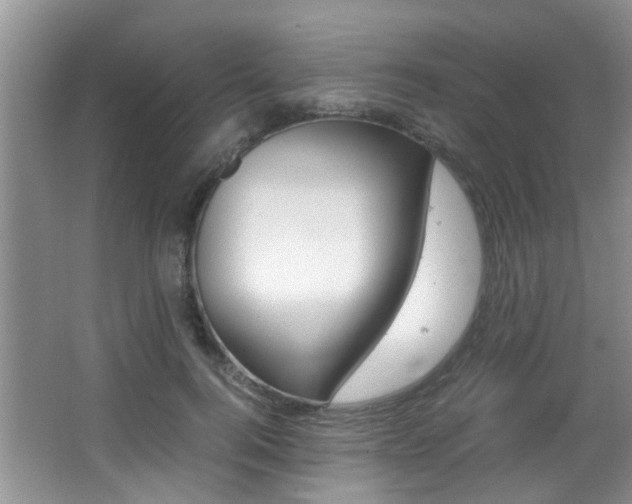 X0000066980744200603241045