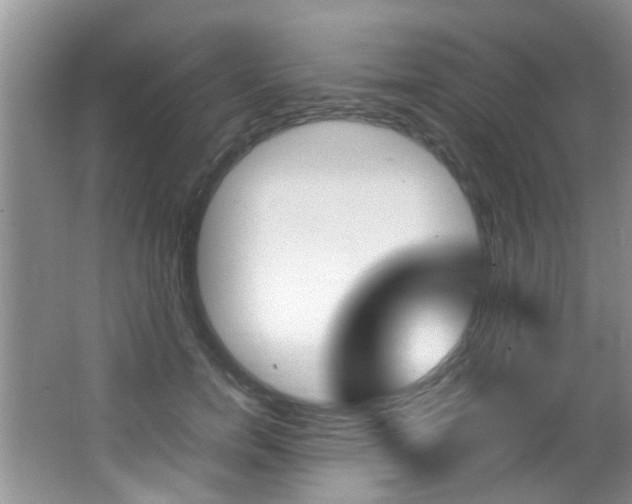 X0000066980750200603241045