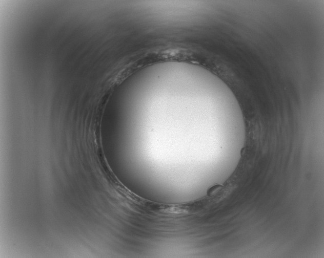 X0000066980754200603241045