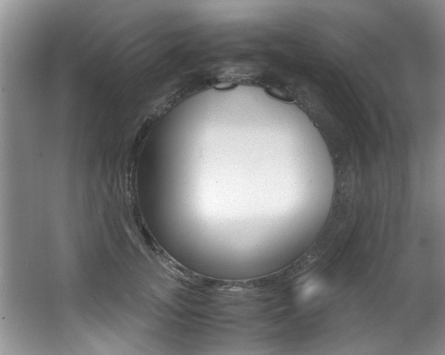X0000066980755200603241045