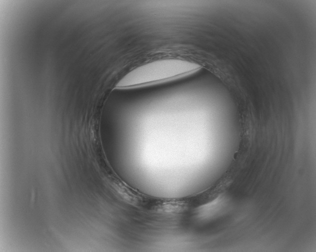 X0000066980758200603241045