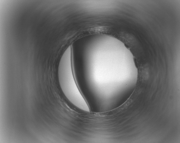 X0000066980760200603241045