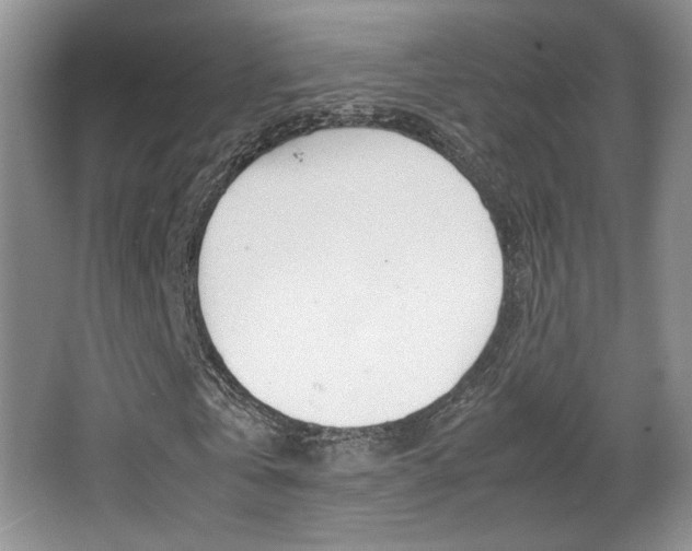 X0000066980769200603241044