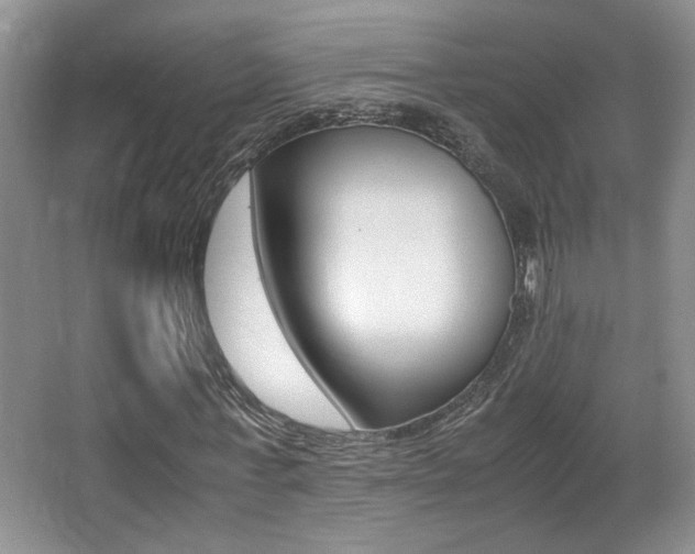 X0000066980771200603241044
