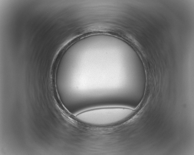 X0000066980779200603241044