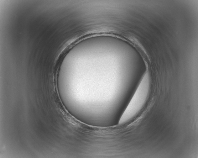 X0000066980781200603241044