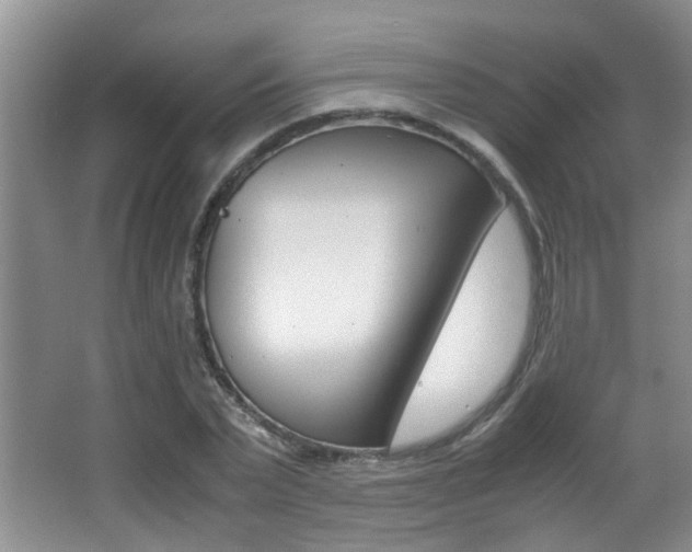 X0000066980783200603241044