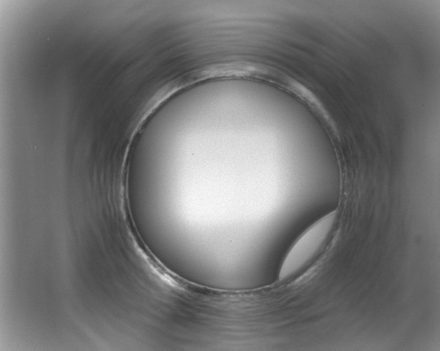 X0000066980802200603241044