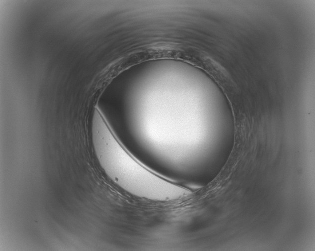 X0000066980821200603241043