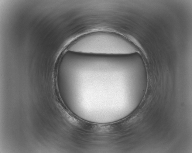 X0000066980831200603241043