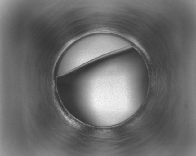 X0000066980837200603241043
