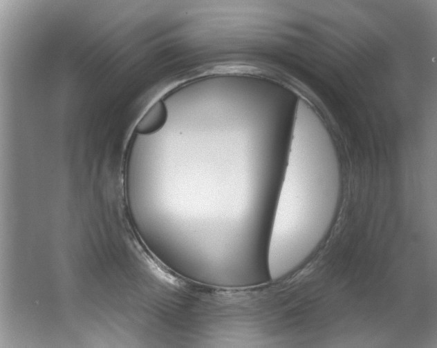 X0000066980852200603241043