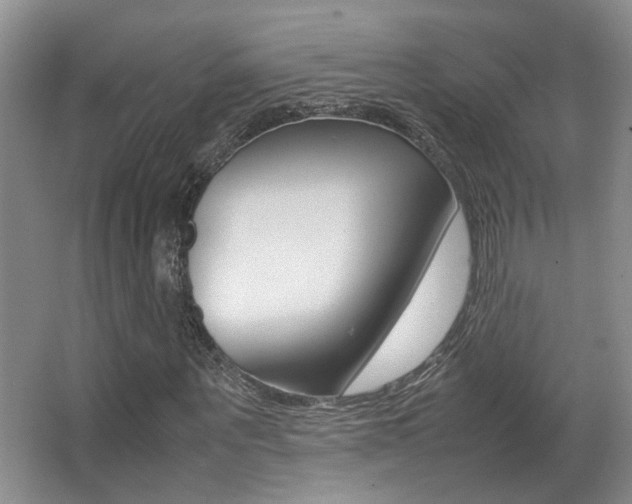 X0000066980867200603241043