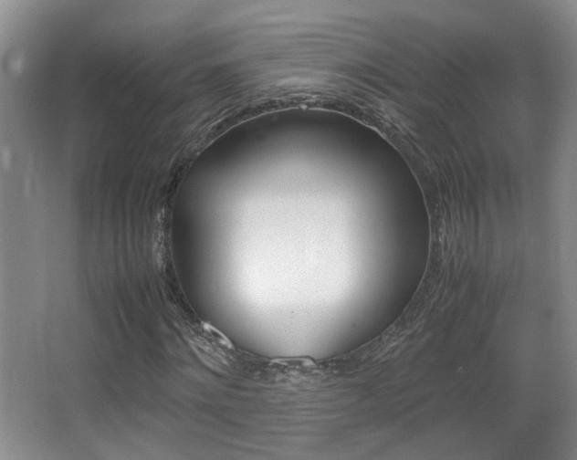 X0000066980868200603241043