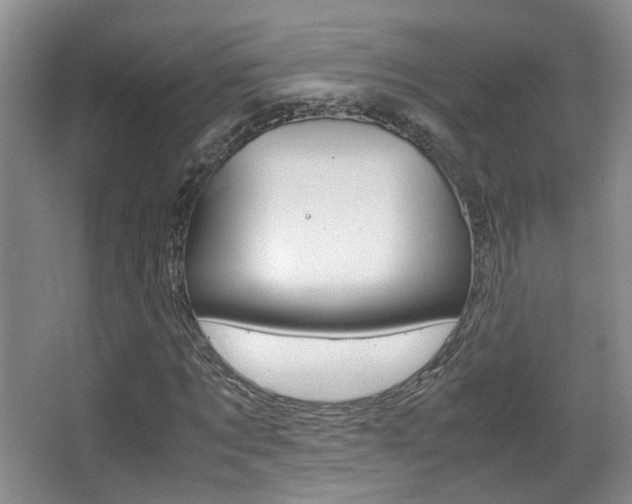 X0000066980869200603241043