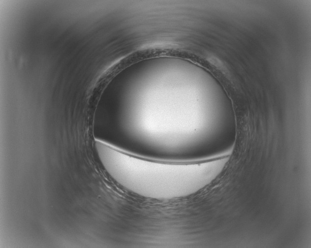 X0000066980872200603241043